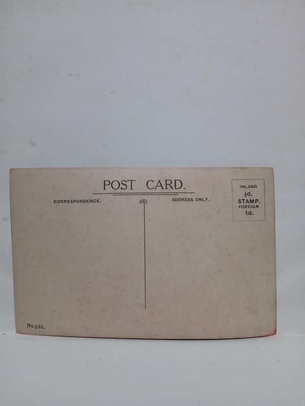 Rare real picture postcard nightscape red