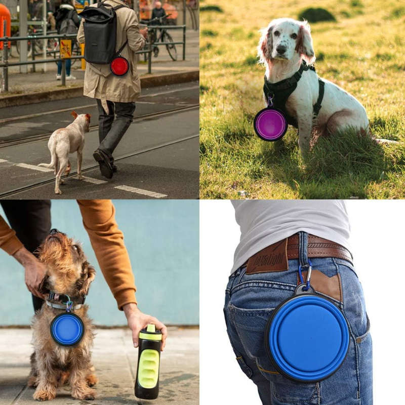 Pet Ventilated Collapsible Portable Mesh Travel Carrier Including Collapsible Silicone Pet Bowl and