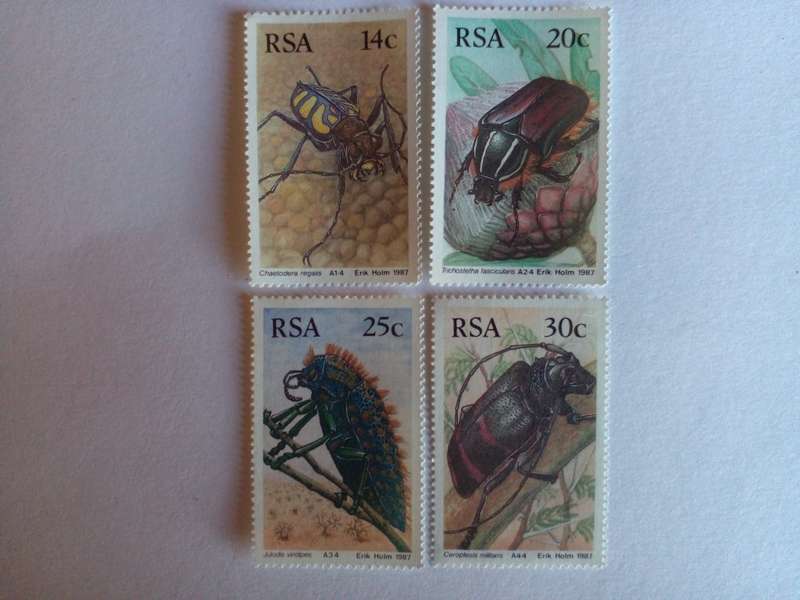 RSA 1987 Beetles