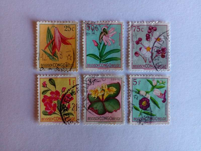 Belgian Congo 1952 Flowers
