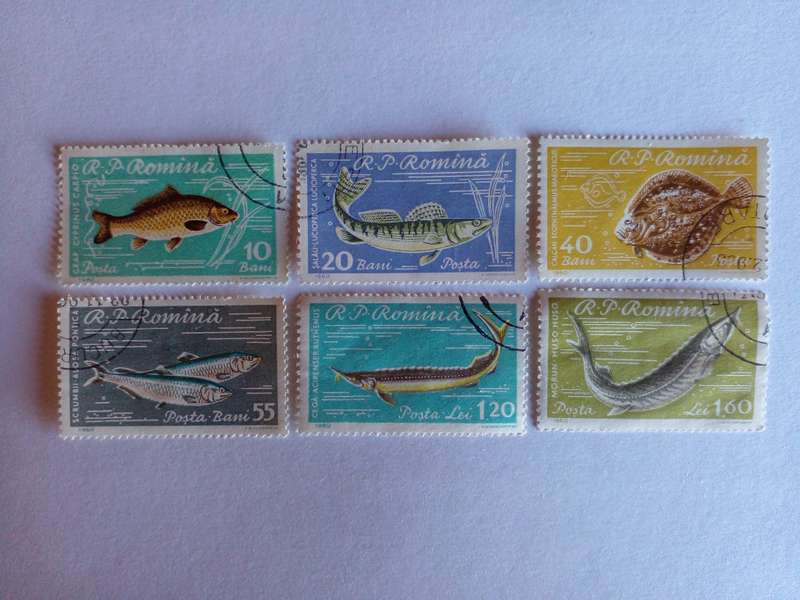 Romania 1960 Fish