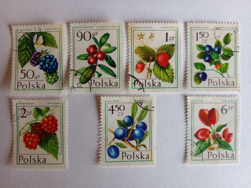 Poland 1977 Berries