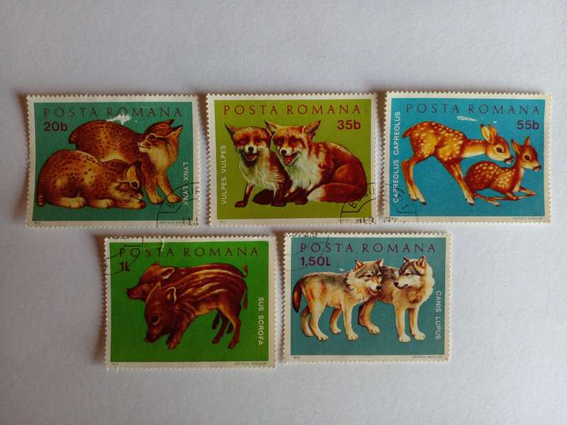 Romania 1972 Young Animals