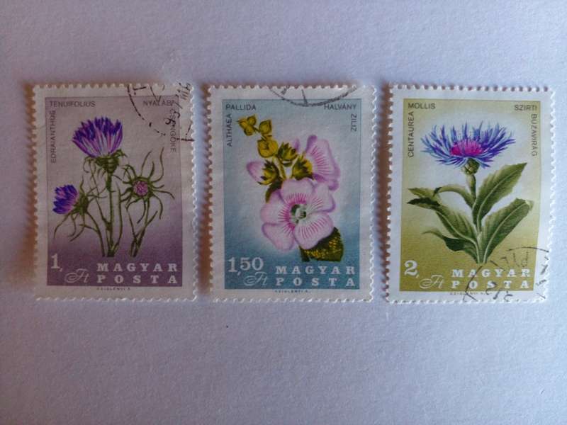 Hungary 1967 Flowers