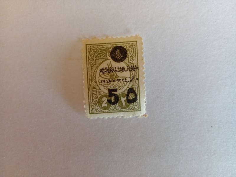 Ottoman Empire 1919 Surcharge on previous issue