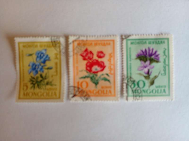 Mongolia 1960 Flowers