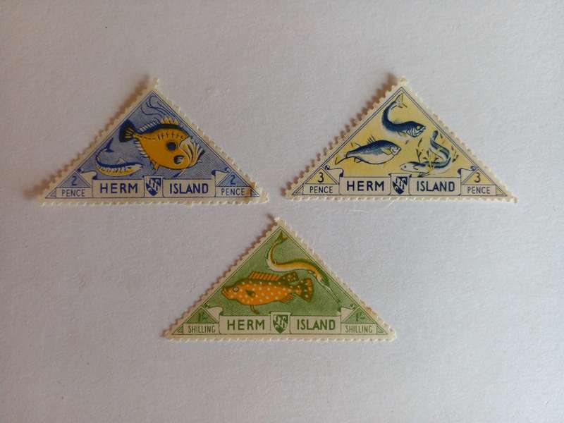 Herm Island 1954 Fish