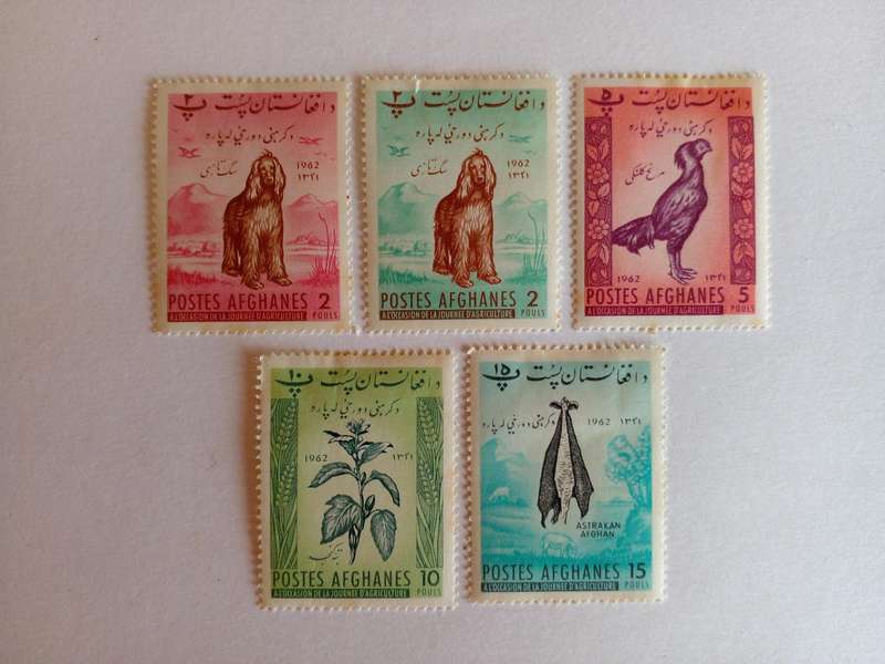Afghanistan 1962 Agriculture