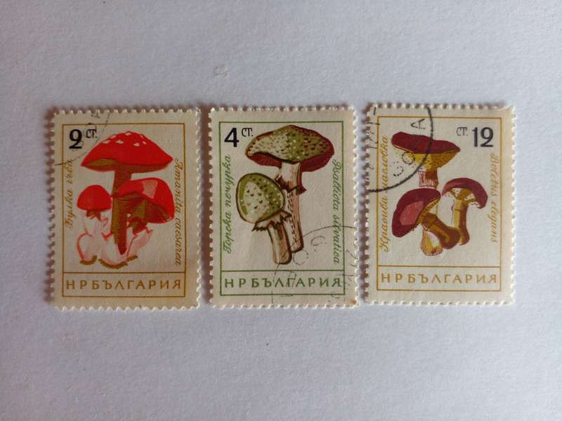 Bulgaria 1961 Mushrooms