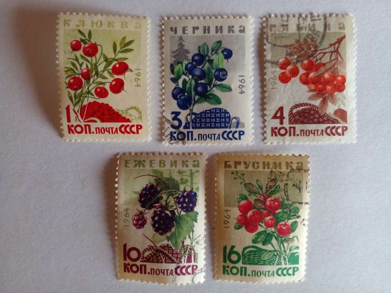 USSR 1964 Edible Berries