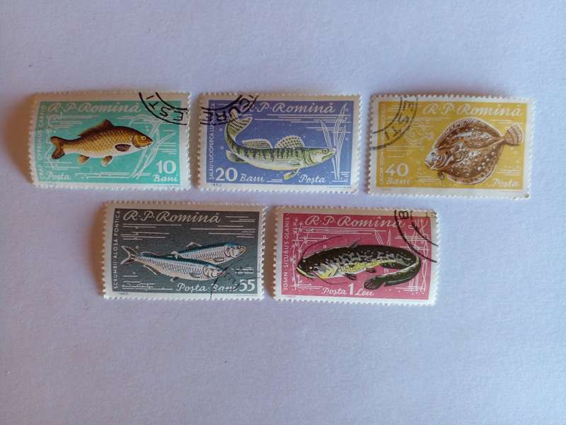 Romania 1960 Fish