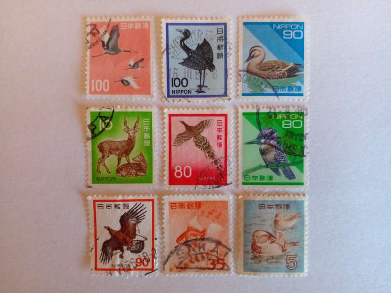Japan Selection Animals