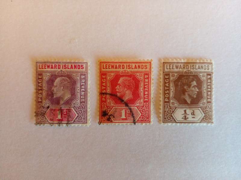 Leeward Islands Selection King Heads