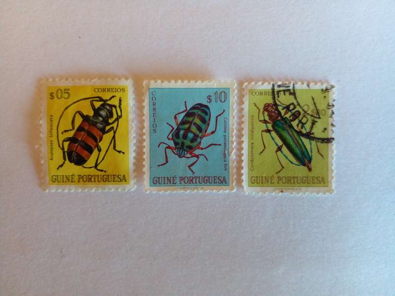 Portuguese Guinea 1953 Insects