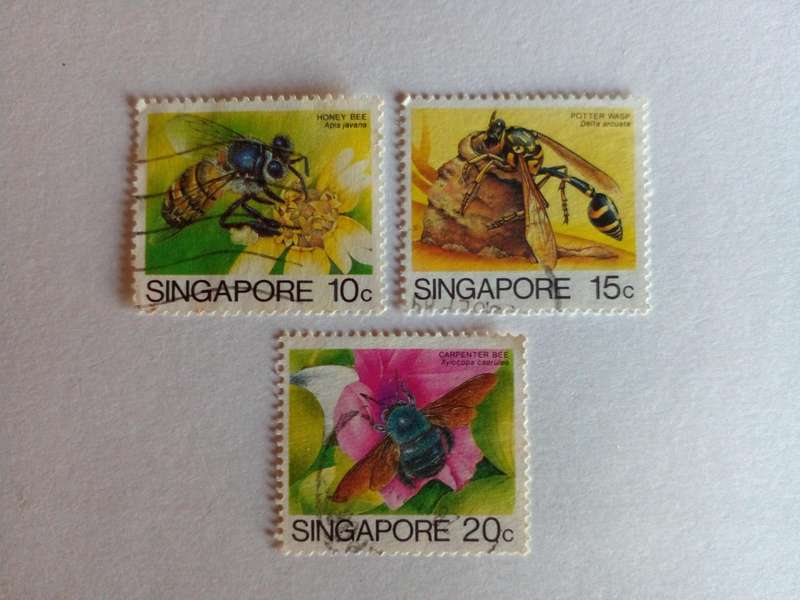 Singapore 1985 Insects