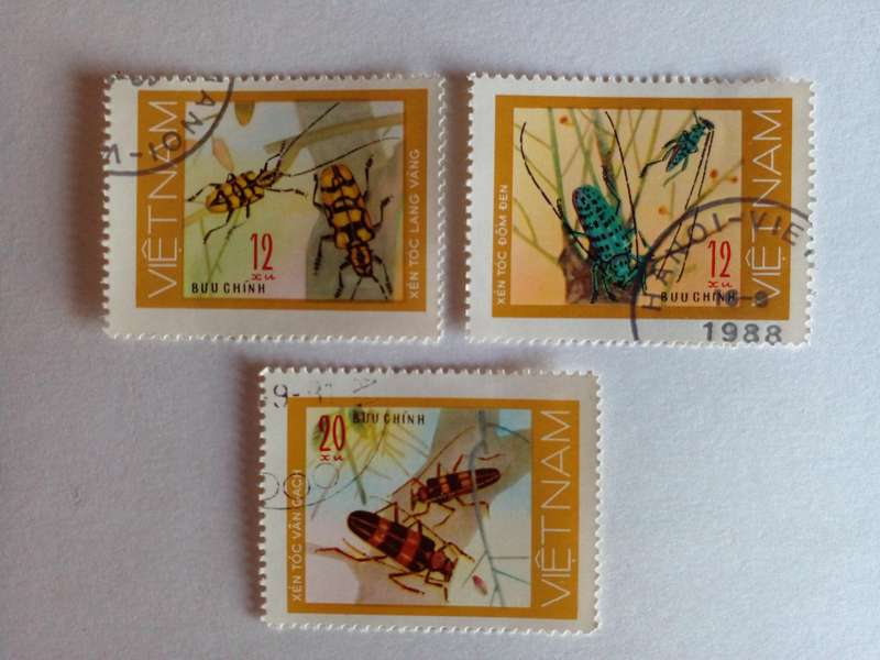 Vietnam 1977 Beetles