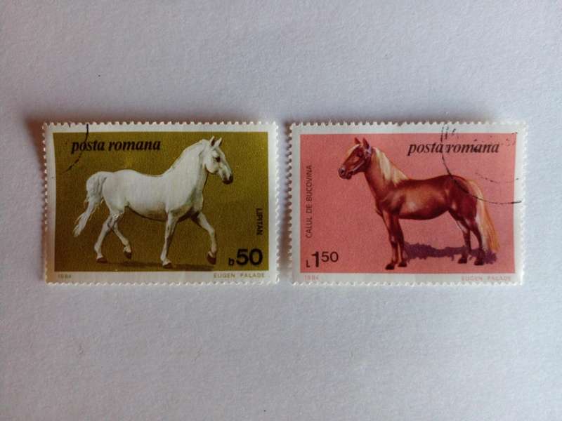 Romania 1984 Horses