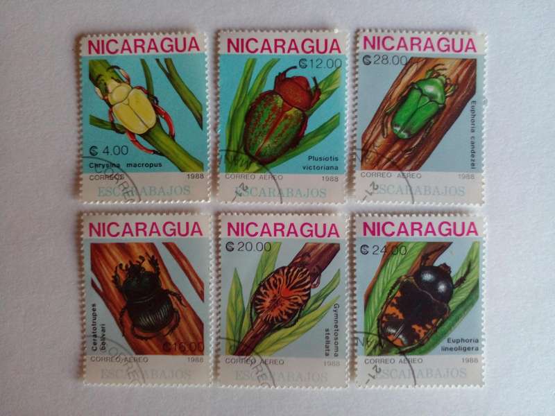Nicaragua 1988 Beetles