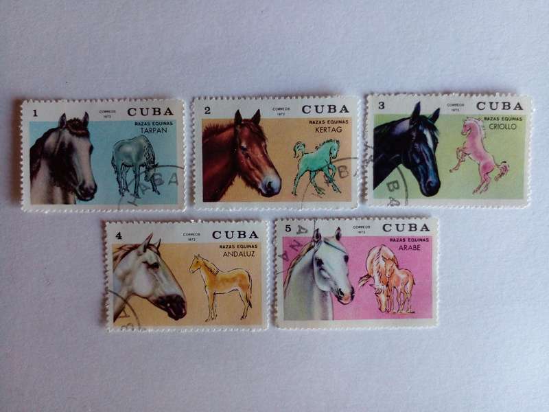 Cuba 1972 Horses