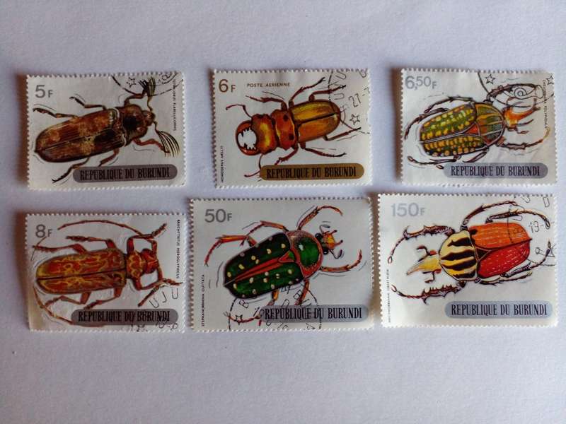 Burundi 1970 Insects