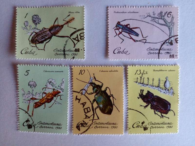 Cuba 1980 Beetles