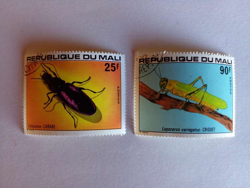 Mali 1978 Insects