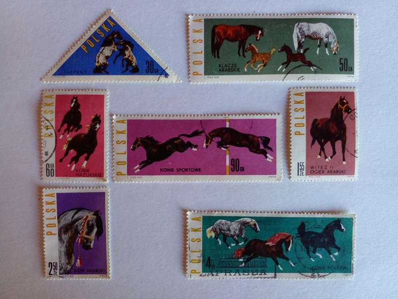 Poland 1965 Horses