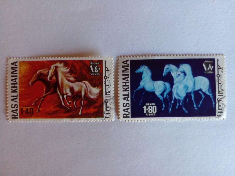 UAE (Ras al Khaima) 1972 Horses