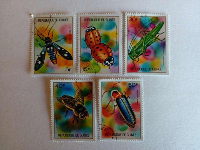 Guinea 1973 Insects