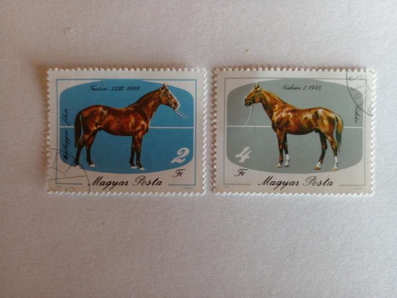Hungary 1985 Horses