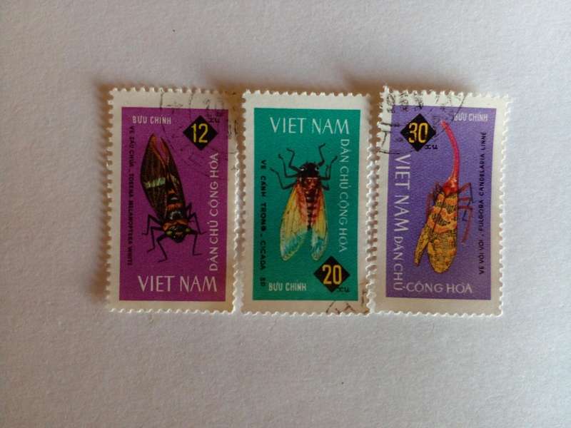 Vietnam 1965 Insects