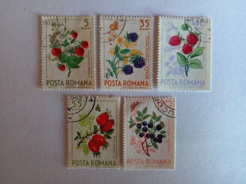 Romania 1964 Edible Berries