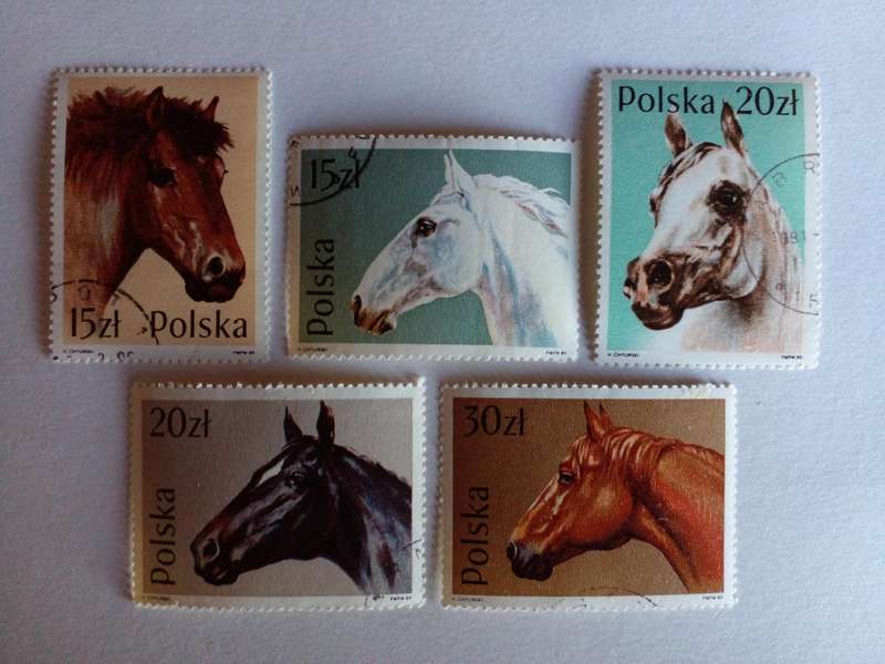 Poland 1965 Horses