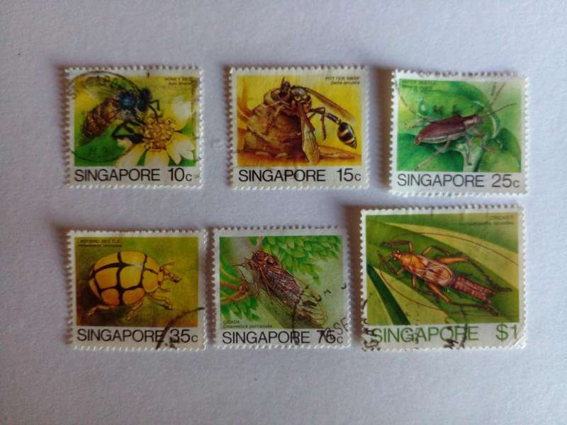 Singapore 1985 Insects