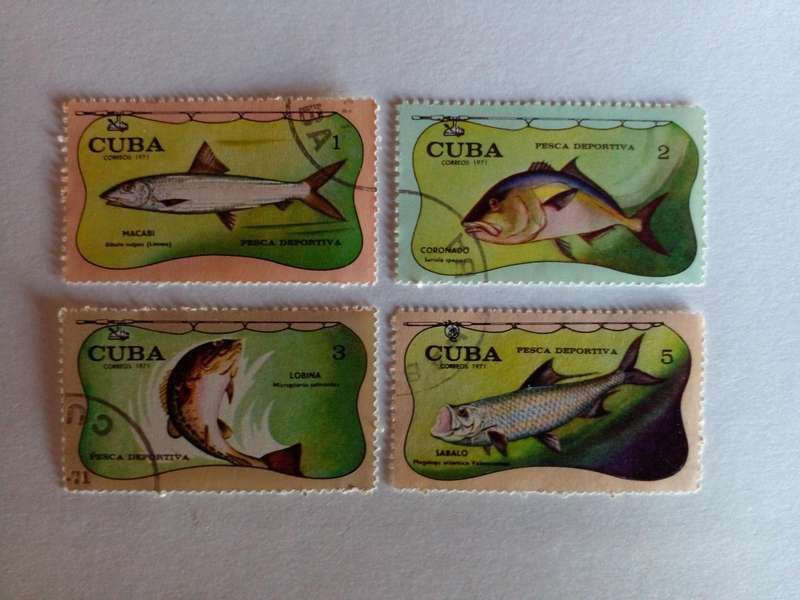 Cuba 1971 Fish