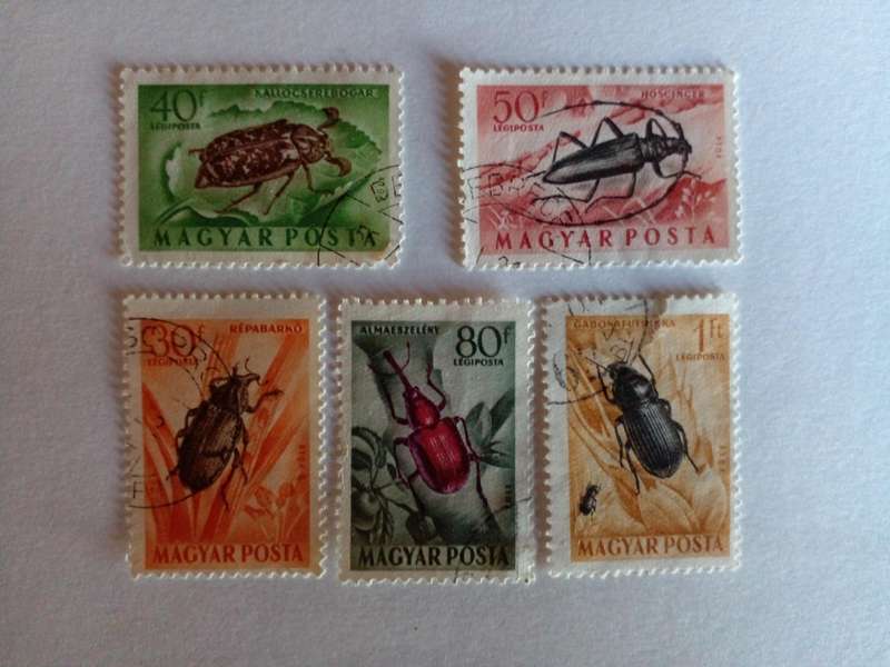Hungary 1954 Insects