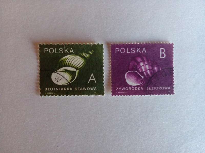 Poland 1990 Sea Shells