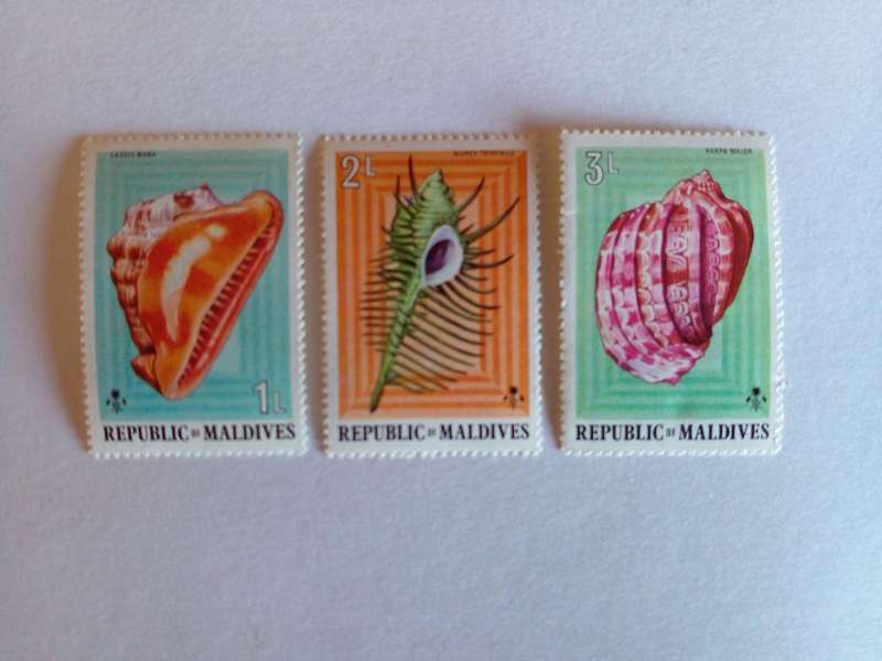 Maldives 1979 Sea Shells