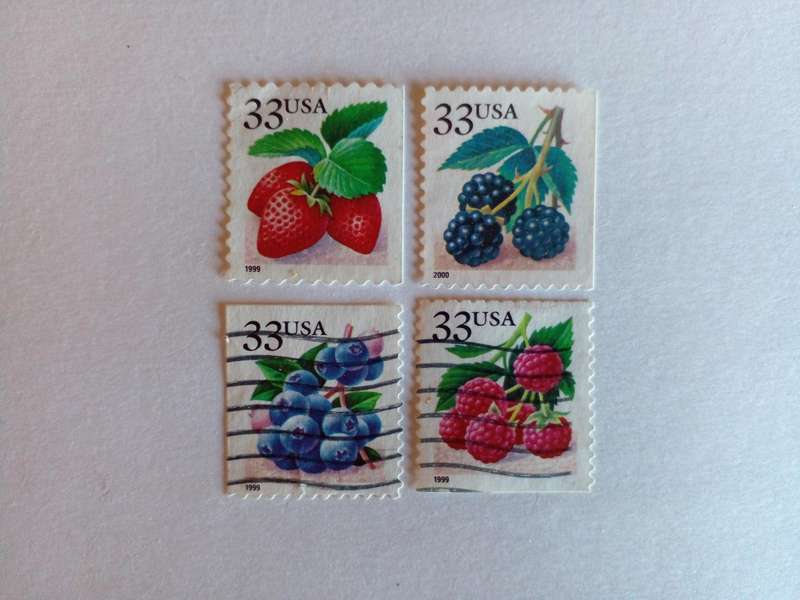USA 1999 Edible Berries
