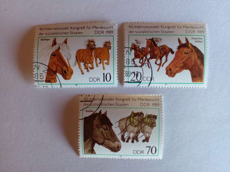 Germany (DDR) 1989 Horses