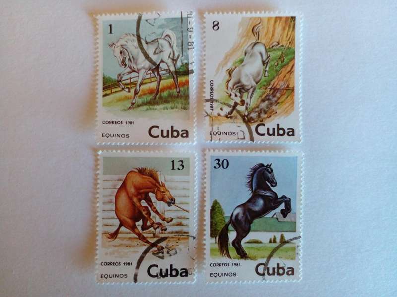 Cuba 1981 Horses