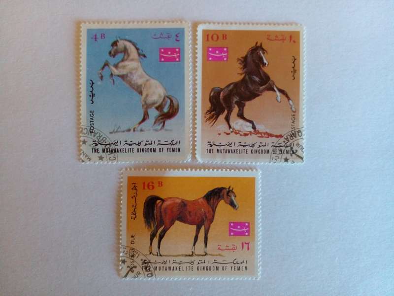 Yemen 1967 Horses