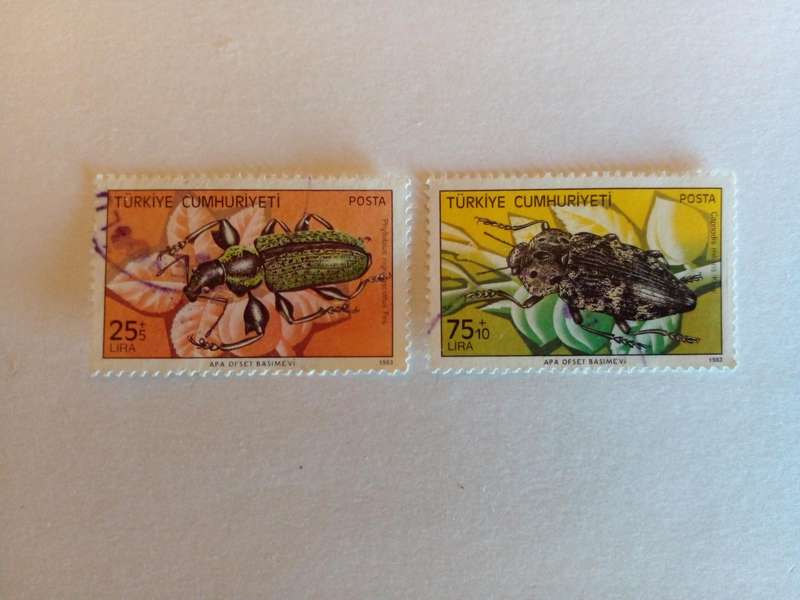 Turkey 1983 Insects