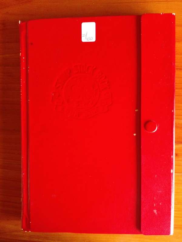 Stock Book 18 pages with more than 500  world stamps.