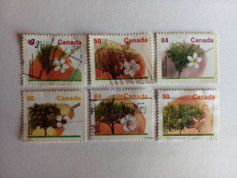 Canada 1991 Fruit and Nut Trees