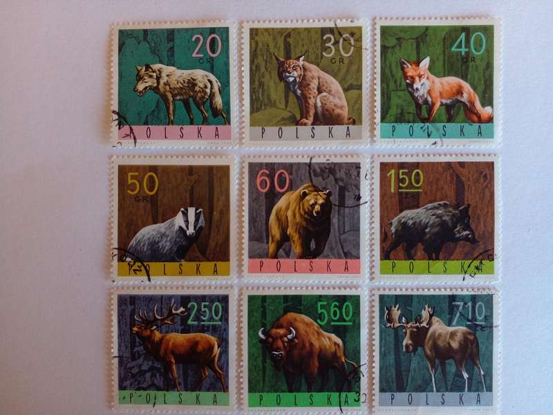 Poland 1965 Animals