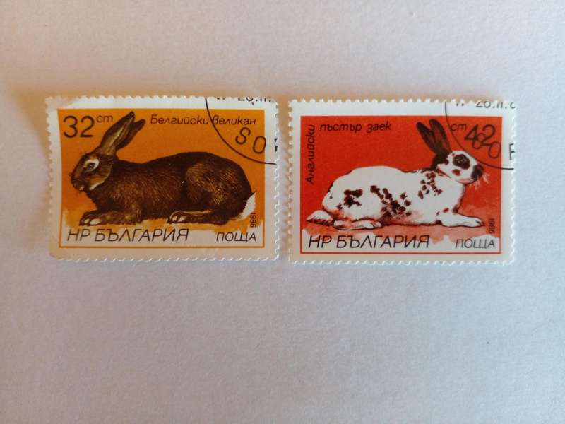 Bulgaria 1986 Rabbits