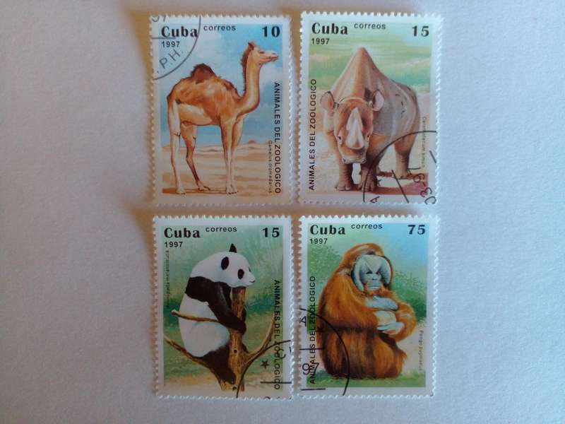 Cuba 1997 Animals