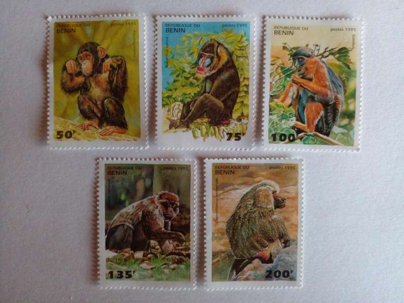 Benin 1995 Primates