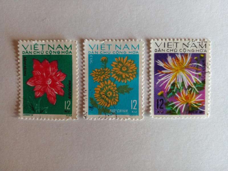 North Vietnam 1974 Flowers